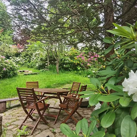 Apartamento Marcówka M2 - Szklarska Poręba-centrum Szklarska Poręba