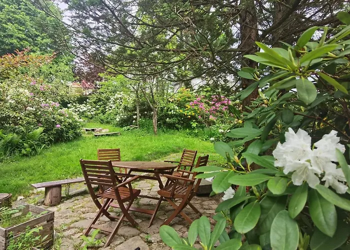 Apartamento Marcówka M2 - Szklarska Poręba-centrum Szklarska Poręba