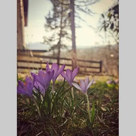 شقة Marcowka M2 - Szklarska Poreba-centrum *