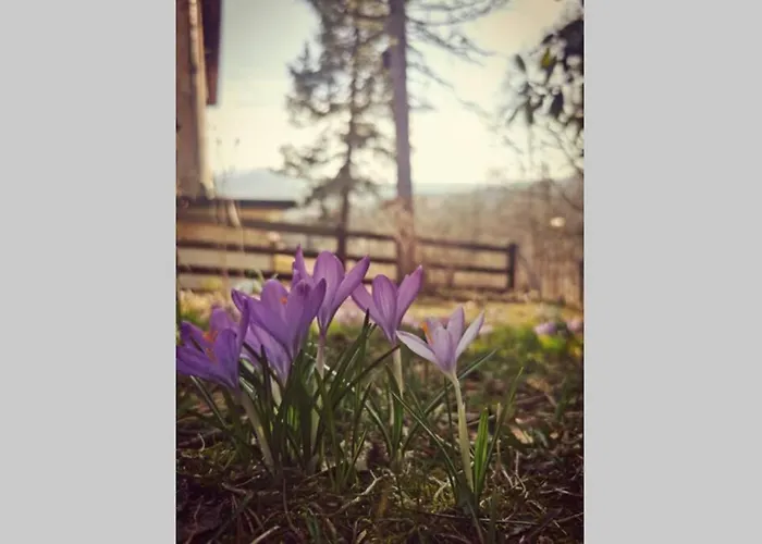 아파트 Marcowka M2 - Szklarska Poreba-centrum *